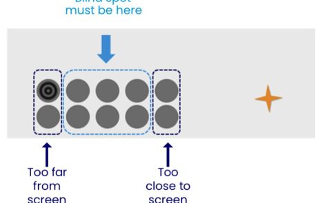 blind-spot (2)